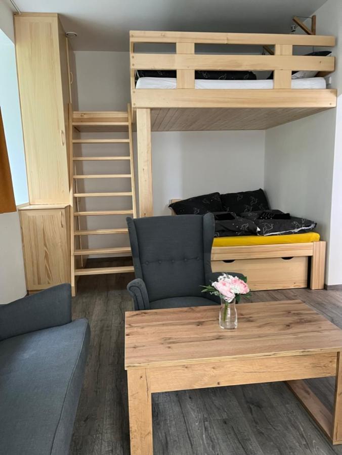 Moderni Apartman Uprostred Sumavske Prirody Zdikovec Экстерьер фото